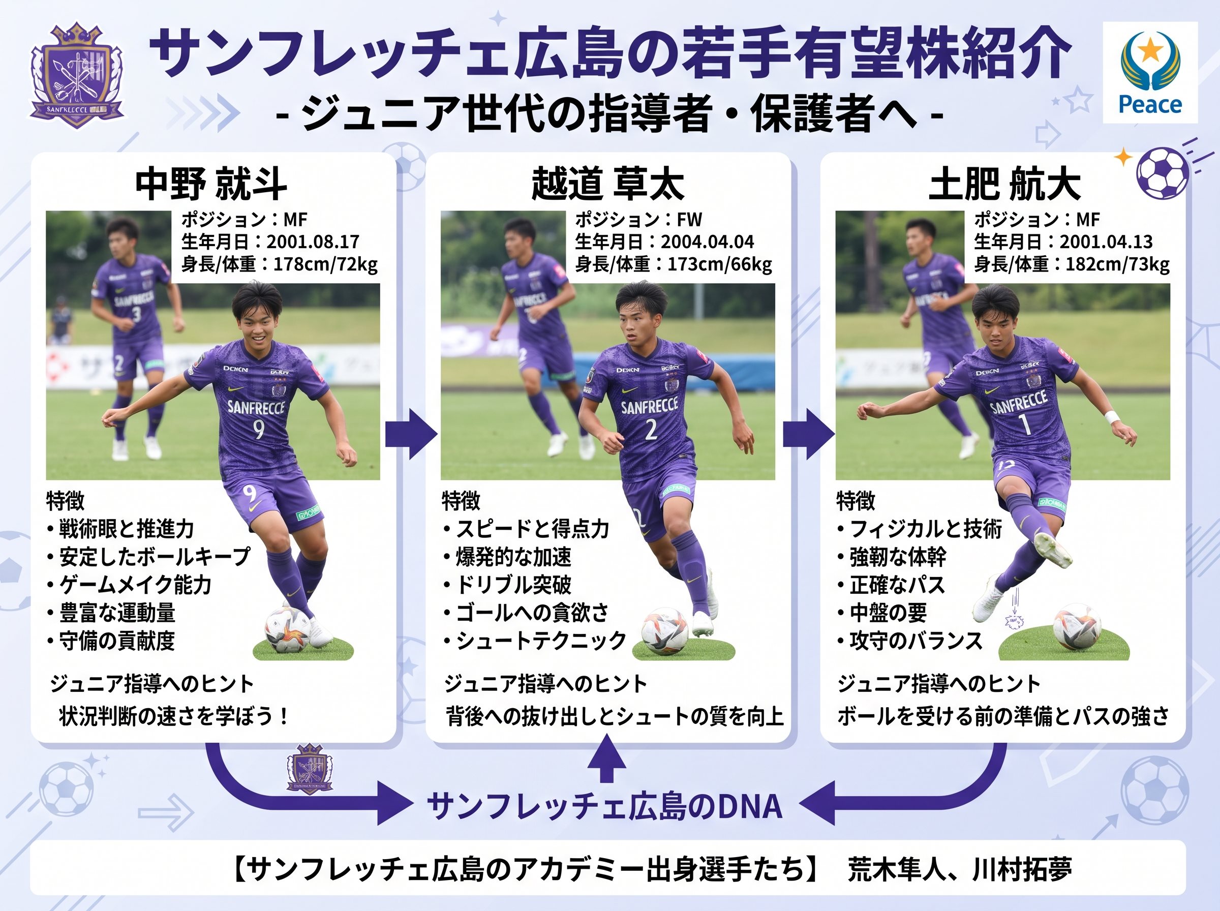 サンフレッチェ広島の若手有望株紹介