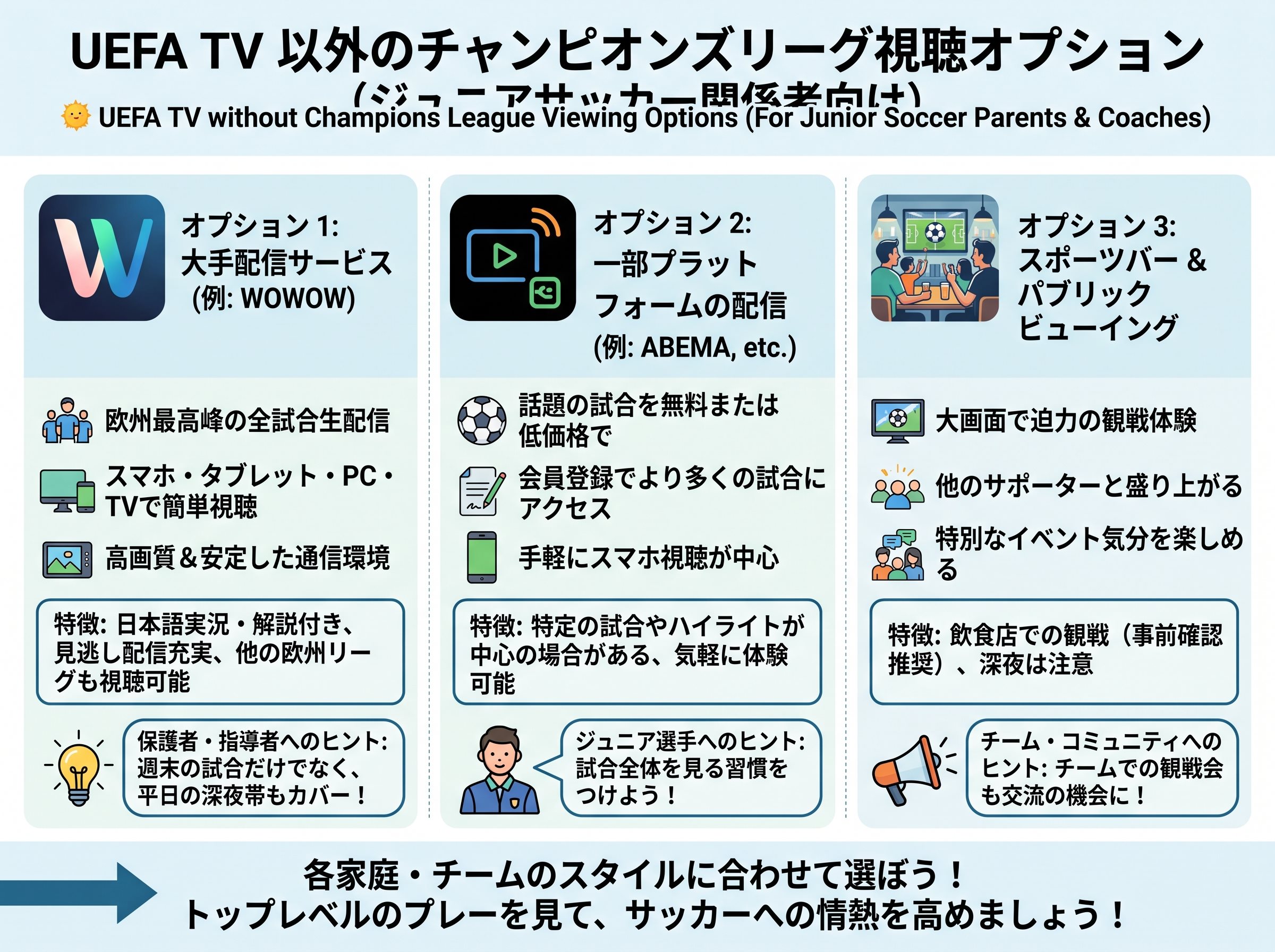UEFA TV 以外のチャンピオンズリーグ視聴オプション